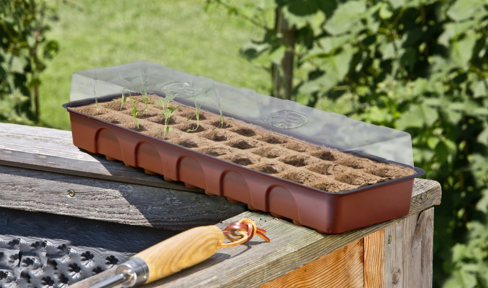 Windhager Mini rastlinjak za gojenje s 30 lonci - 1 set.