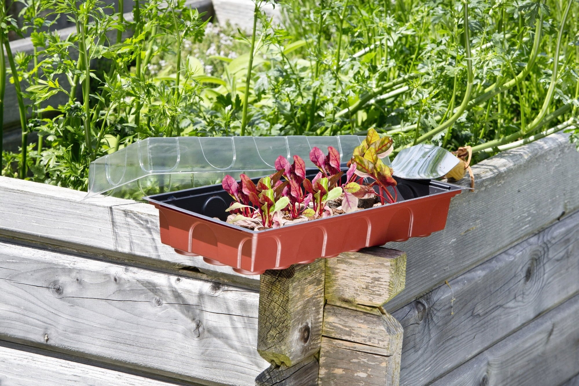 Windhager Maxi Greenhouse - 1 item