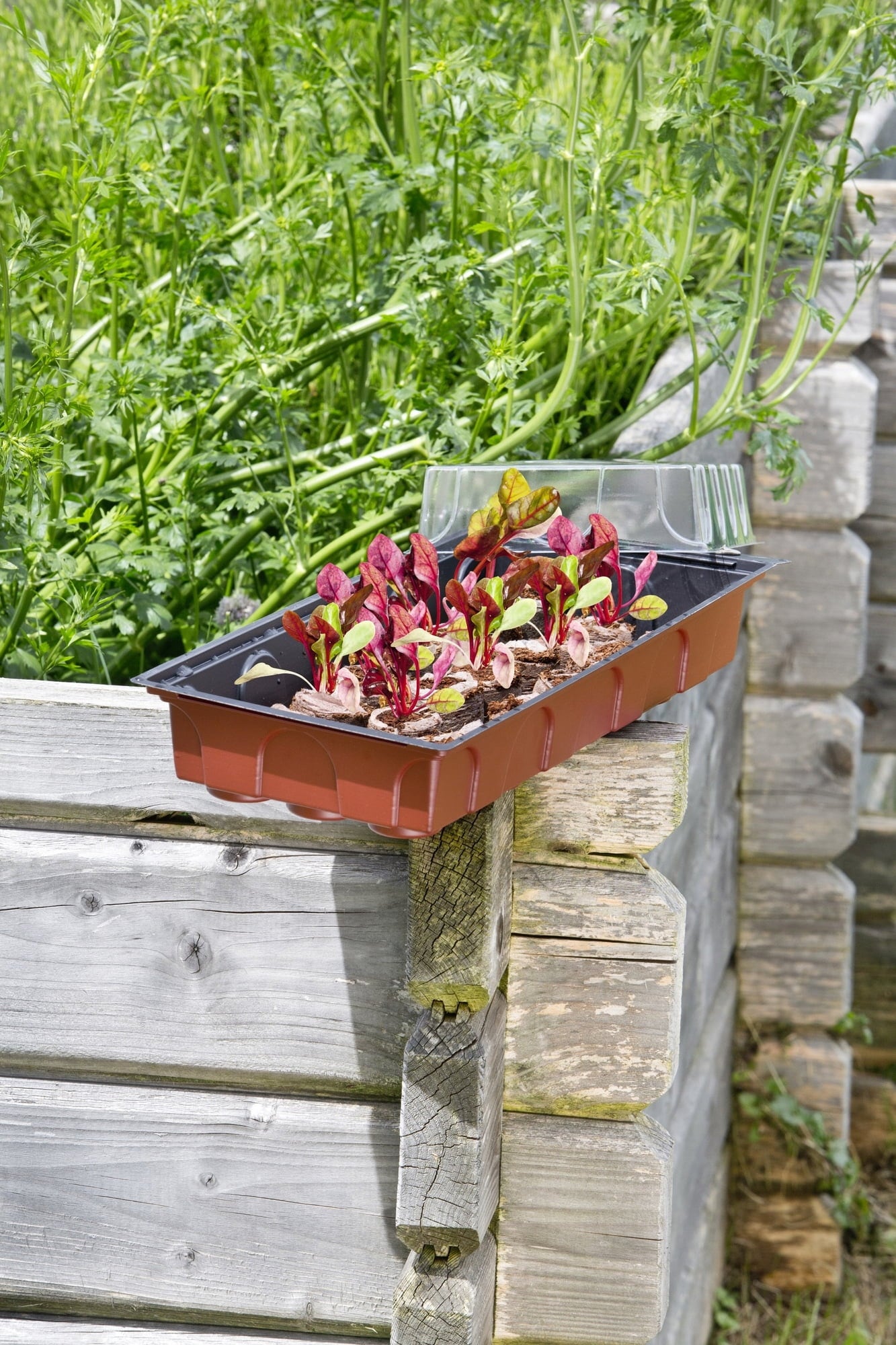 Windhager Maxi Greenhouse - 1 item