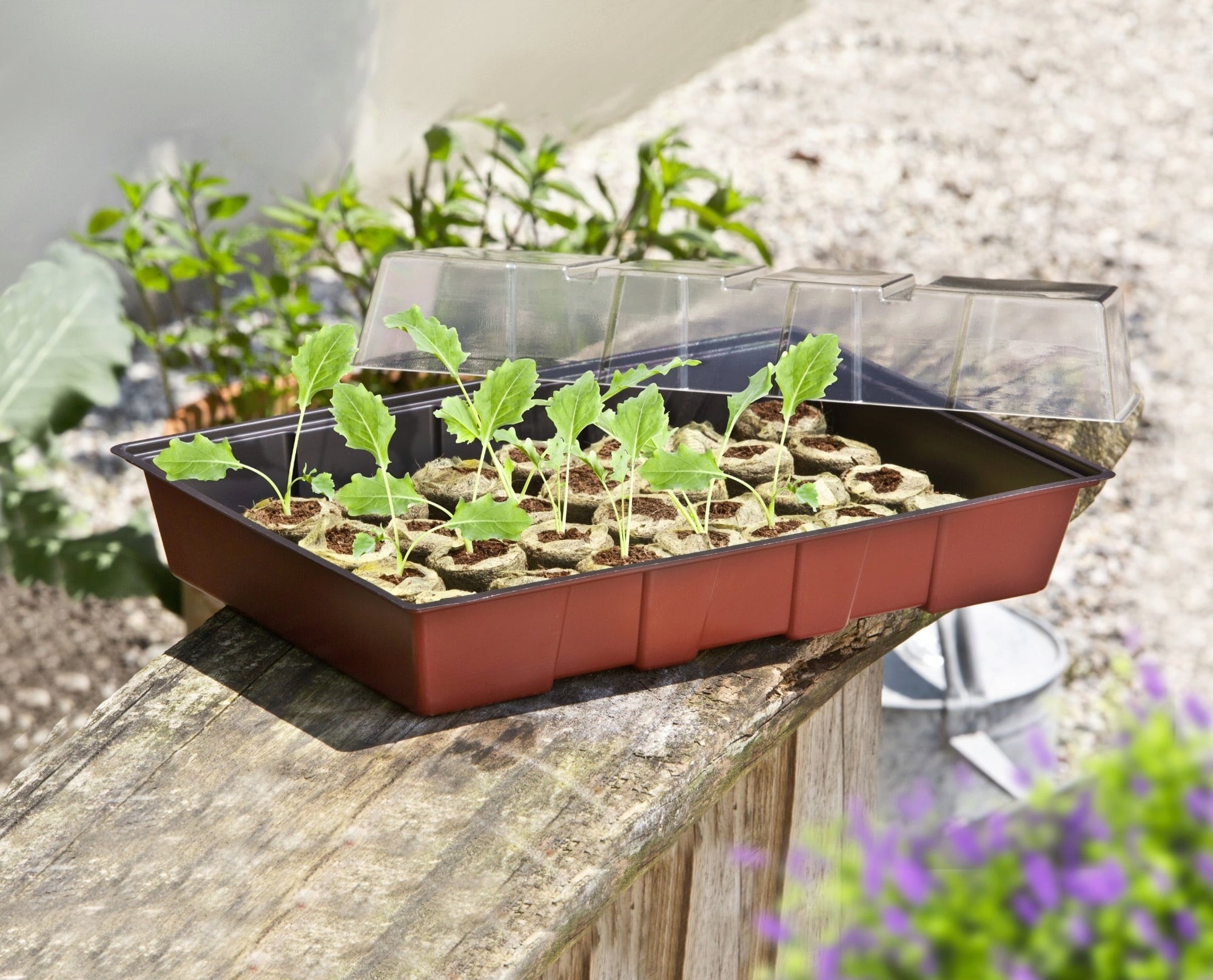 Windhager Maxi Greenhouse - 1 item