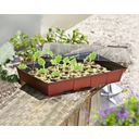 Windhager Mini Greenhouse w 24 Soil Pellets - 1 Set