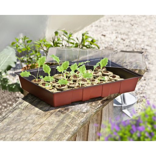 Windhager Mini Greenhouse w 24 Soil Pellets - 1 Set