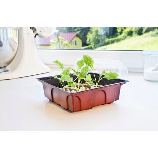 Windhager Mini Greenhouse w 12 Soil Pellets - 1 Set