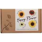 naturkraftwerk Zestaw nasion kwiatów „Happy Flower”