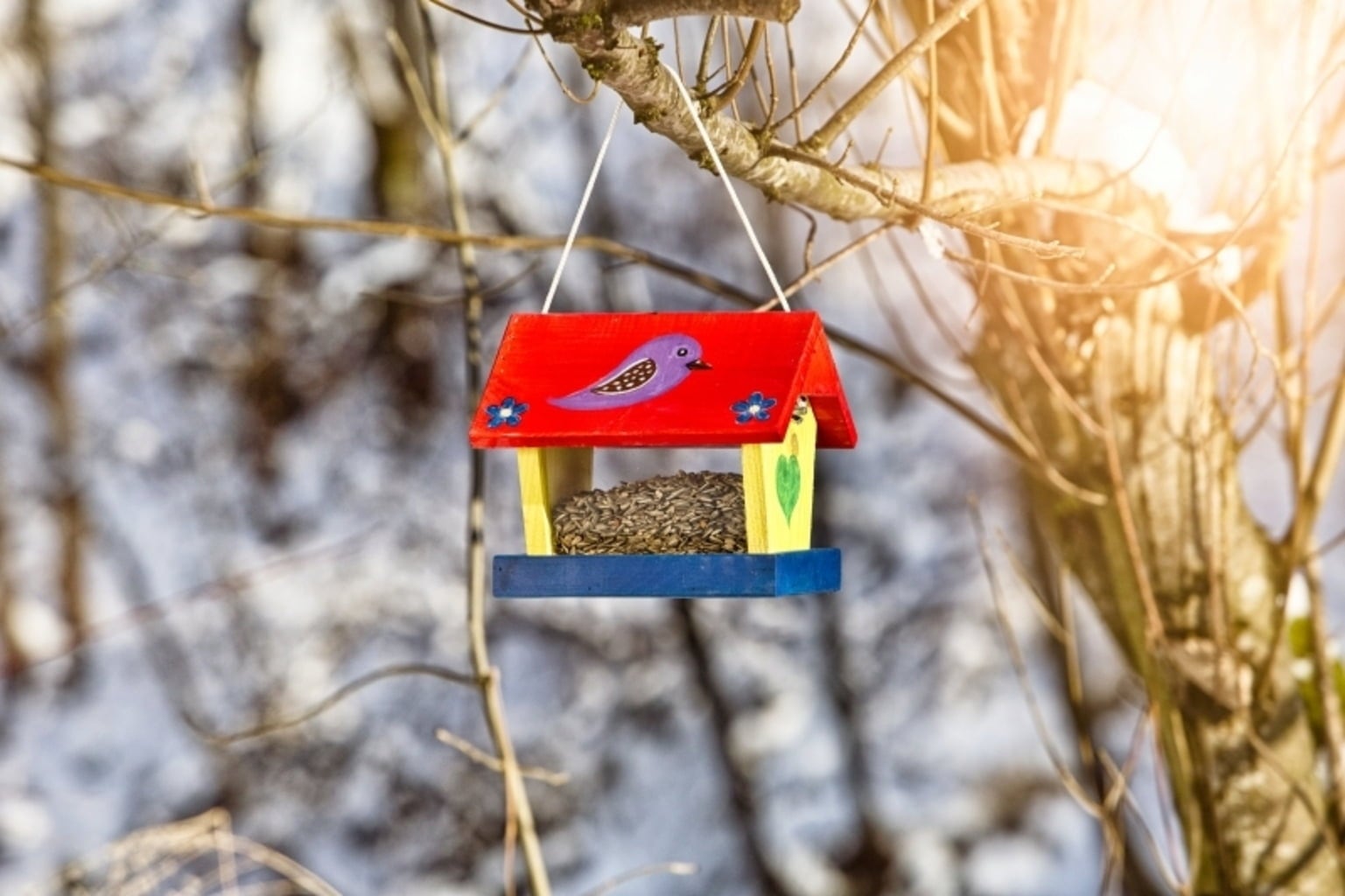 Windhager Woodpecker Birdfeeder Kit - 1 item