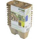 Windhager Seed Pots 6cm Square - 6 x 12 x 6 cm