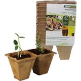 Windhager Seed Pots 6cm Square