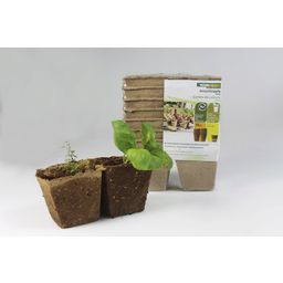 Windhager Seed Pots 8cm Square - 16 items