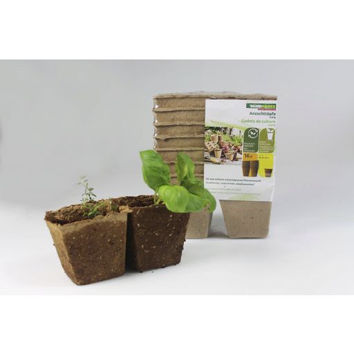 Windhager Seed Pots 8cm Square - 16 items