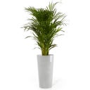 Ecopots Doniczka Amsterdam High 76 - szara - biało-szary