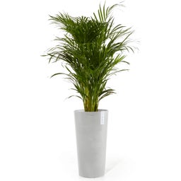 Ecopots Doniczka Amsterdam High 76 - szara - biało-szary