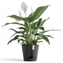 Ecopots Venice 2 Pflanztopf dunkelgrau - Ø 20 cm, Höhe 17,5 cm