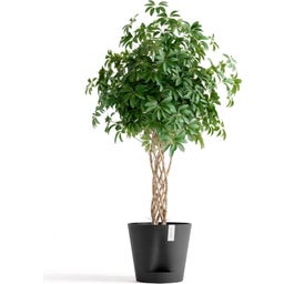 Ecopots Venice 2 Pflanztopf dunkelgrau - Ø 40 cm, Höhe 35 cm