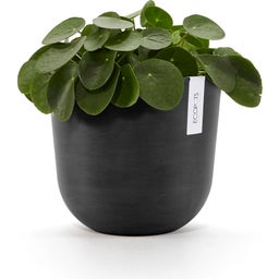 Oslo Pflanztopf mit Wasserreservoir - dunkelgrau - Ø 25 cm, Höhe 21,8 cm