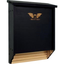 Double Chamber Bat House - Black - 1 pcs