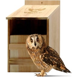 Nesting Box for Owls - 1 k.
