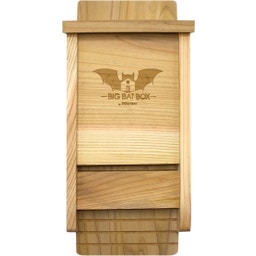 Single Chamber Bat House - cedra