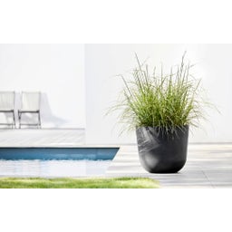 Oslo Pflanztopf mit Wasserreservoir - dunkelgrau - Ø 45 cm, Höhe 39,2 cm