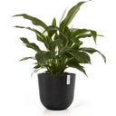 Oslo Pflanztopf mit Wasserreservoir - dunkelgrau - Ø 45 cm, Höhe 39,2 cm