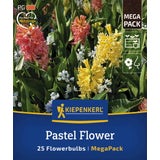 Kiepenkerl Mega Pack Pastel Flower