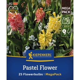 Kiepenkerl Mega Pack Pastel Flower - 25 Stück