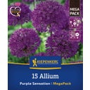 Kiepenkerl Mega-Pack Zierlauch Purple Sensation - 15 Stück