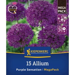 Kiepenkerl Mega-Pack Zierlauch Purple Sensation - 15 Stück