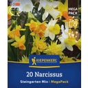 Kiepenkerl Mega pakiranje narcis 