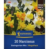 Kiepenkerl Mega-Pack Rock Garden Daffodil Mix