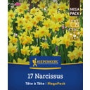 Kiepenkerl Mega pakiranje narcis 