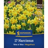 Kiepenkerl Mega-Pack Narzissen Tête à Tête