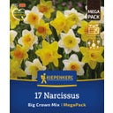 Kiepenkerl Mega pakiranje narcis 