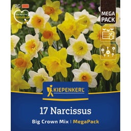 Kiepenkerl Mega pakiranje narcis 