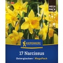 Kiepenkerl Mega pakiranje narcis 