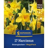 Kiepenkerl Mega-Pack Narzissen Osterglocken