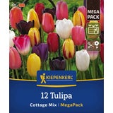 Mega-Pack Einfache späte Tulpen Cottage Mix