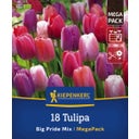 Mega pakiranje hibridnih tulipanov 