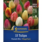 Kiepenkerl Mega-Pack Triumph-Tulpen Pastell-Mix