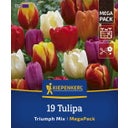 Kiepenkerl Mega pakiranje tulipanov 