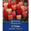 Kiepenkerl Mega-Pack Triumph-Tulpen Jimmy Mix - 12 Stück