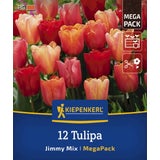 Kiepenkerl Mega-Pack Triumph-Tulpen Jimmy Mix