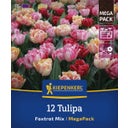 Mega-Pack Gefüllte frühe Tulpen Foxtrot Mix - 12 Stück