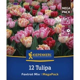Mega-Pack Gefüllte frühe Tulpen Foxtrot Mix