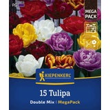 Kiepenkerl Mega-Pack Gefüllte Tulpen Mischung