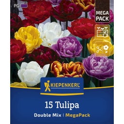 Kiepenkerl Mega-Pack Gefüllte Tulpen Mischung - 15 Stück