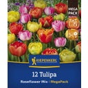 Mega-Pack Gefüllte späte Tulpen Rosentulpen-Mischung - 12 Stück