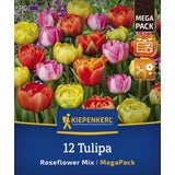 Mega-Pack Gefüllte späte Tulpen Rosentulpen-Mischung