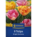 Kiepenkerl Tulpen Mix Bright Harmony - 8 Stück