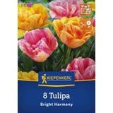 Kiepenkerl Tulpen Mix Bright Harmony