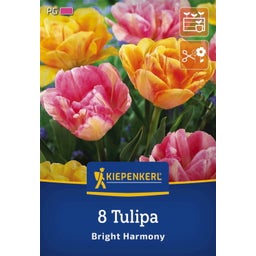 Kiepenkerl Tulpen Mix Bright Harmony - 8 Stück